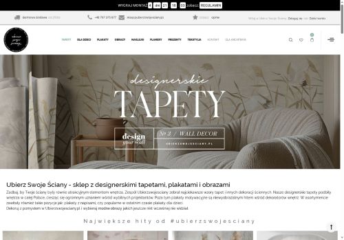 EFFECT PLUS WIOLETTA TURKOWIAK-KLAMKA